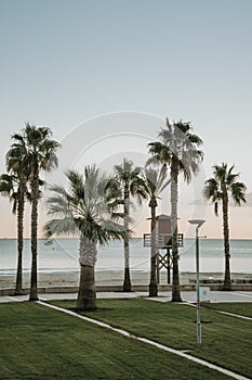 The palm trees and the lifeguard house are on the edge of El GarbÃ­ beach in Spain photo