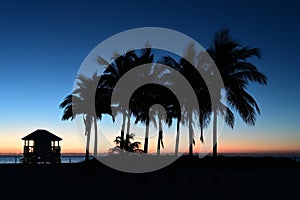 Palm trees and lifeguard station silhouetted against twilight on Crandon Park Beach in Key Biscayne, Florida.