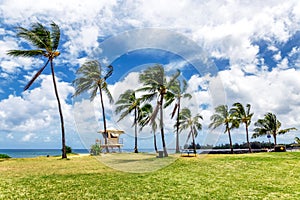 Palm trees and lifeguard tower on tropical beach in Haleiwa