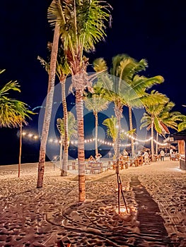 Palm trees lighting the way to the beach front restaurant