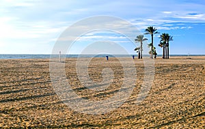 Palm trees on a lonely beach