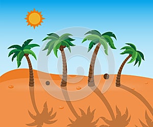 Palm trees with long shadow on desert landscape. Vector