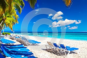 Palm trees with lounge chairs on the caribbean tropical beach. Saona Island, Dominican Republic. Vacation travel background