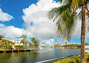 Palm trees and luxury houses in Las Olas Isles in Fort Lauderdale photo