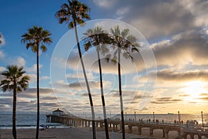 Palm trees on Manhattan beach at sunset