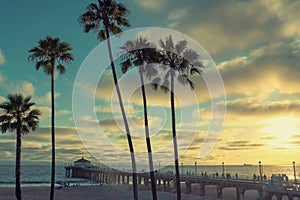 Palm trees on Manhattan Beach, Vintage processed