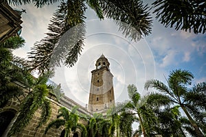 Palm trees and the Manila Cathedral, in Intramuros, Manila, The