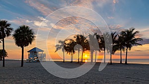 Palm trees in Miami beach at sunrise