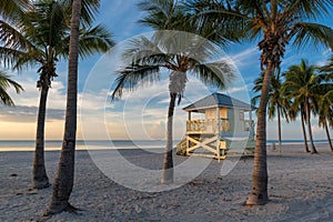 Palm trees on Miami Beach at sunrise