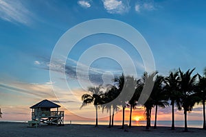 Palm trees on Miami Beach at sunrise and life guard tower, Florida.