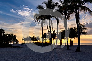 Palm trees on Miami Beach at sunrise and life guard tower, Florida.