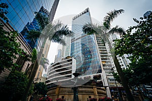 Palm trees and modern skyscrapers at Sheung Wan, in Hong Kong, H