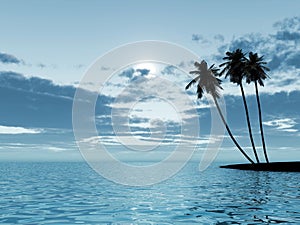 Palm trees in a moonlight photo