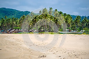 Palm Trees on Nacpan Beach on Sunny Day. El Nido, Palawan, Philippines