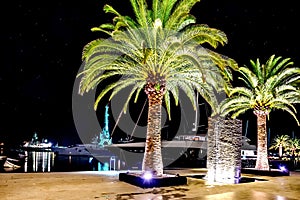 Palm trees in the night lights in Marina Porto Montenegro, Tivat, Montenegro