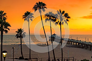 Palm trees at orange Sunset at California beach