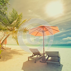 Tropical beach in vintage style effect. Sun umbrella and deck chairs, sun beds and palm trees under sunlight blue sea backgroud