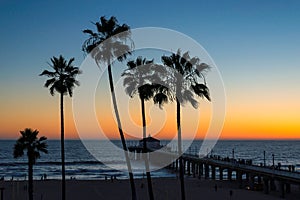 Palm trees over the tropical beach at sunset