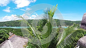 Palm trees over tropical lagoon on Nusa Lembongan island, Bali, Indonesia. Asia. Green spa scene. Slow motion. Panorama.