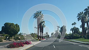 Palm trees, Palm Springs city street, California desert road trip. View from car