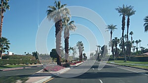 Palm trees, Palm Springs city street, California desert road trip. View from car