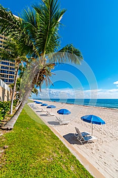 Palm trees and parasol row on Miami Beach, Florida, United States