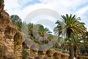 Palm trees in a park Guell