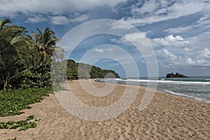 Palm trees on a peaceful beach, Caribbean sea, Puerto Viejo de Talamanca, Costa Rica photo