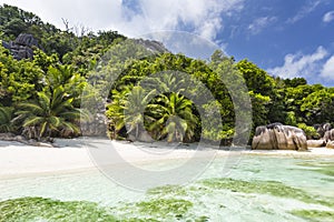 Palm Trees And Perfect Beach, La Digue, Seychelles