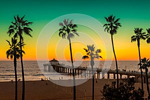 Palm trees and Pier on Manhattan Beach at sunset in California, Los Angeles. photo