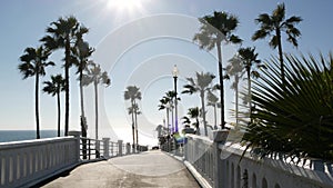 Palm trees and pier, tropical ocean beach, summertime California coast, sunny day USA. Dazzling sun