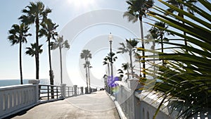 Palm trees and pier, tropical ocean beach, summertime California coast, sunny day USA. Dazzling sun