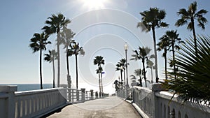 Palm trees and pier, tropical ocean beach, summertime California coast, sunny day USA. Dazzling sun