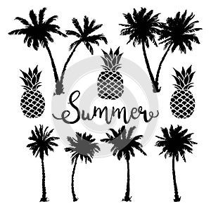 Palm trees and pineapple icons set