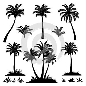 Palm Trees and Plants Silhouettes