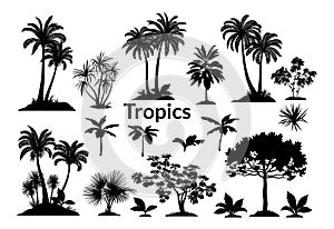 Palm Trees and Plants Silhouettes