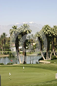 Palm trees by a pond on the golf course