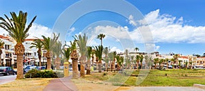 Palm trees on promenade. Rethymno, Crete, Greece