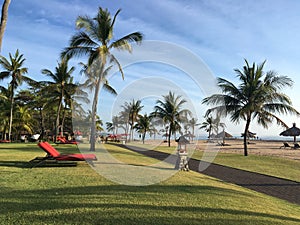 Palm trees and red sunbed in a resort in Bali Indonesia