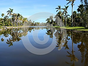 Palm trees reflect into Center Lake at Fairchildl Tropical Gardens in Miami