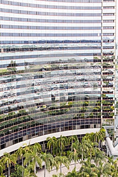 Palm Trees Reflected in Modern Hotel