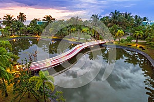Palm trees reflected in pond at sunset