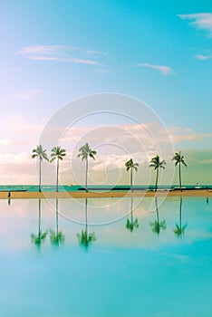 Palm Trees Reflected in Turquoise Water Hawaii