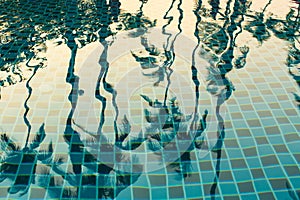 Palm trees reflected in the water of the pool. Nature.