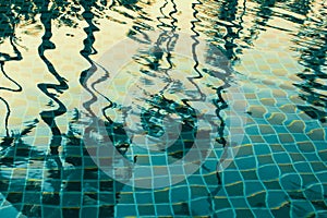 Palm trees reflected in the water of the pool. Nature.