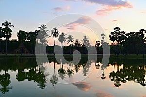 Palm Trees Reflecting Water at Sukhothai Historical Park