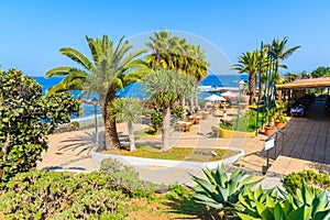 Palm trees and restaurant on coastal promenade in Punta Brava near Puerto de la Cruz town, Tenerife, Canary Islands, Spain