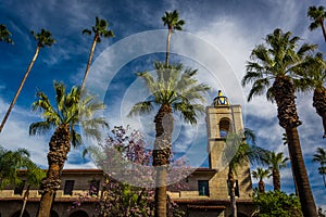 Palm trees and the Riverside Municipal Auditorium