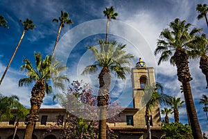 Palm trees and the Riverside Municipal Auditorium photo