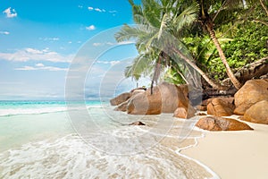 Palm trees and rocks in Anse Lazio